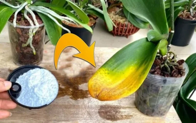 89777676 950x500 1 800x500 1.jpg