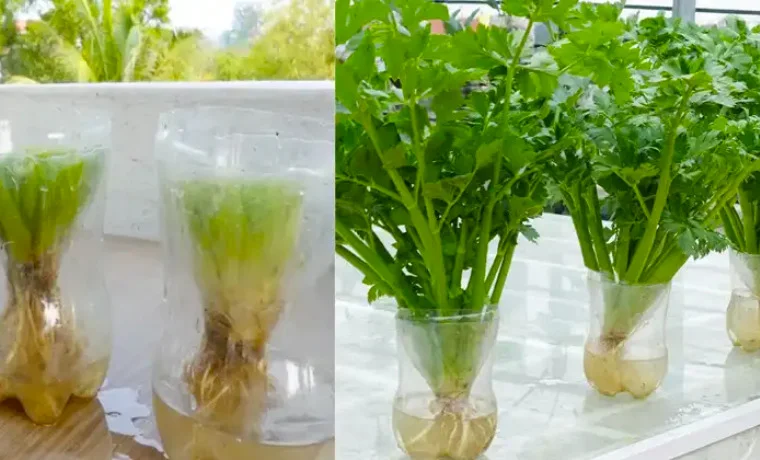 Design sans titre 12.jpg