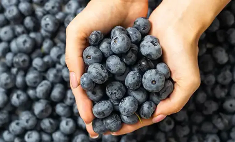 Design sans titre 19 1.png