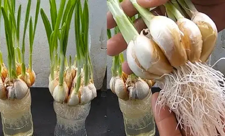 Design sans titre 28 6.jpg