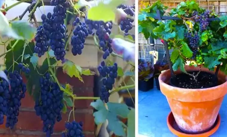 Design sans titre 36 1.png