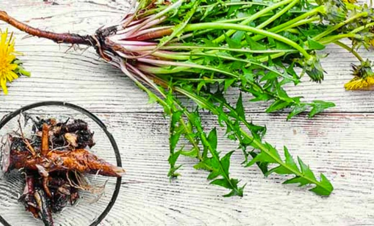 Design sans titre 72.jpg