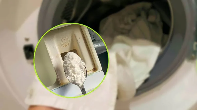 Panni profumati e morbidissimi 768x432 1