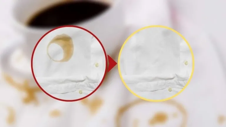 macchie di caffe 1 1024x576 1 768x432 1