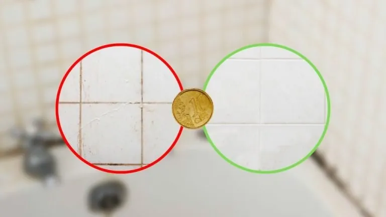 muffa bagno 10 centesimi 1024x576 1 768x432 1