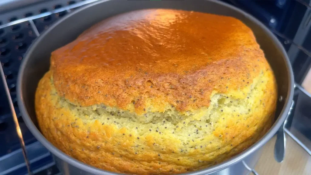 photo 2024 04 28 02 36 24