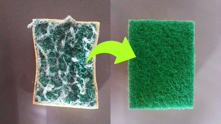 spugna prima e dopo 1024x576 1 768x432 1
