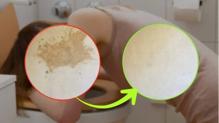 vomito tappeto rimedio 1024x576 1 768x432 1