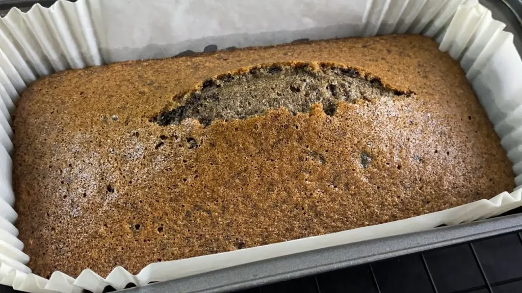 photo 2024 04 11 22 40 42