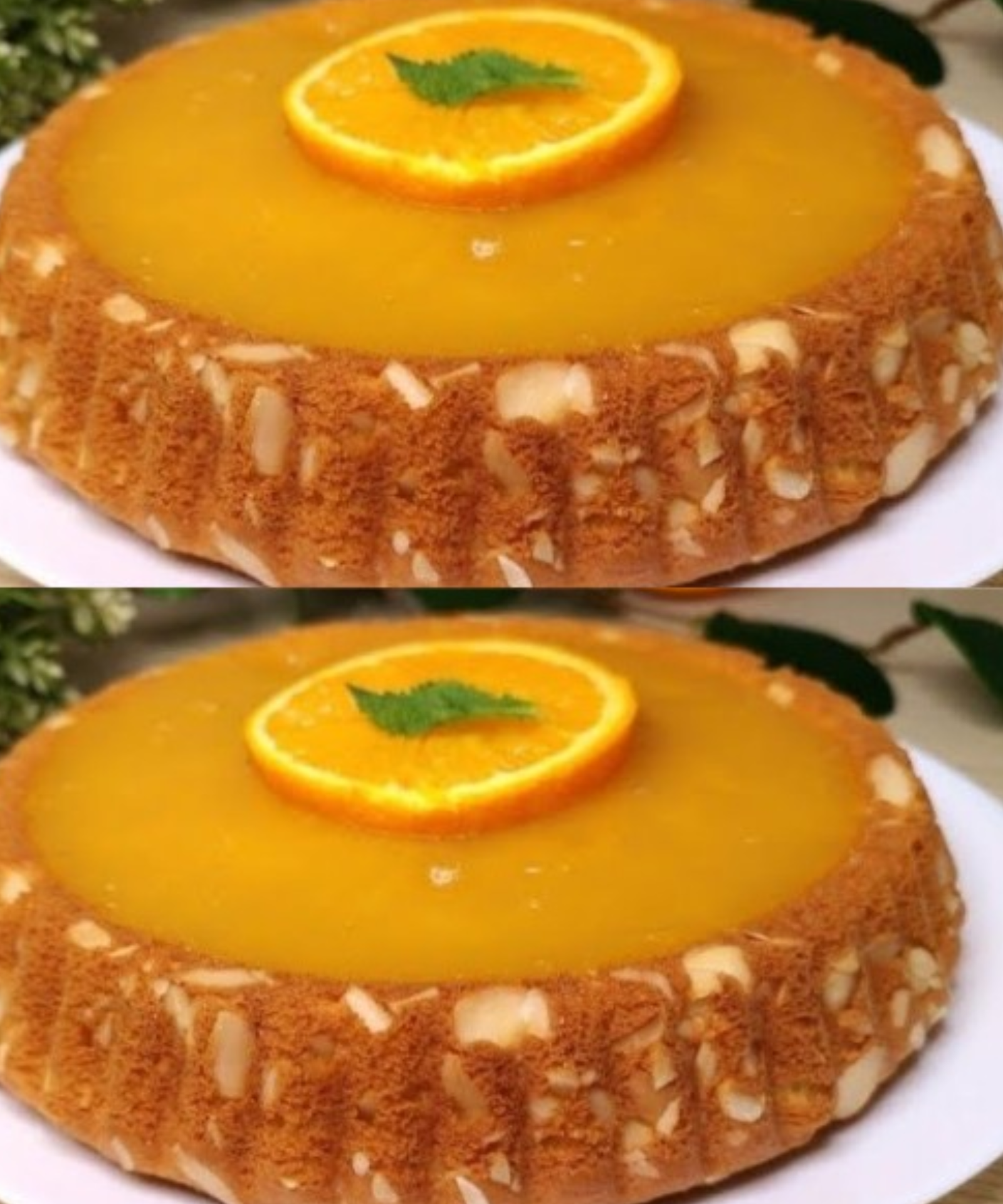 Details im ersten Kommentar 👇 2024 07 05T205801.615